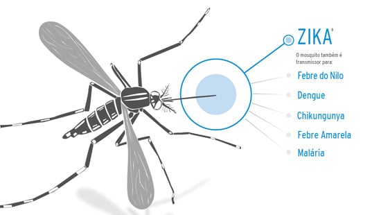 Zika Infographic