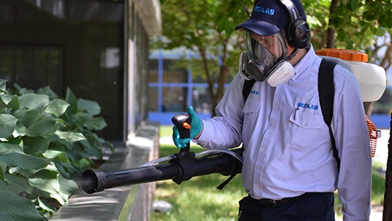 Ecolab Pest Service Specialist performing proactive mosquito control.