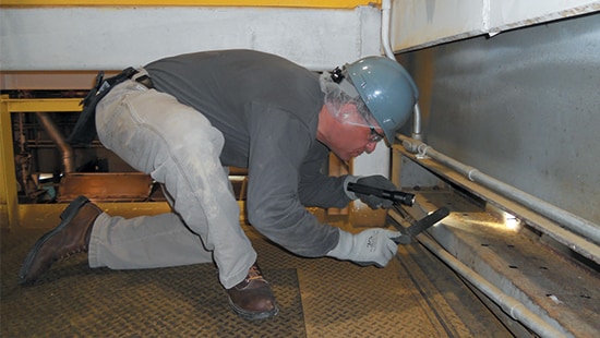 Pest Mill Inspection