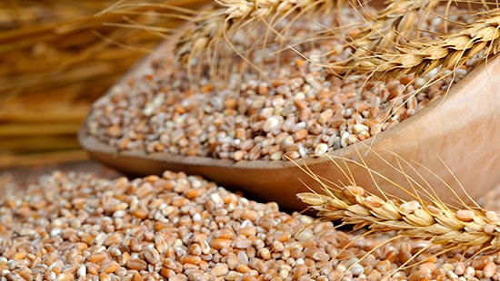 Up close photo of wheat