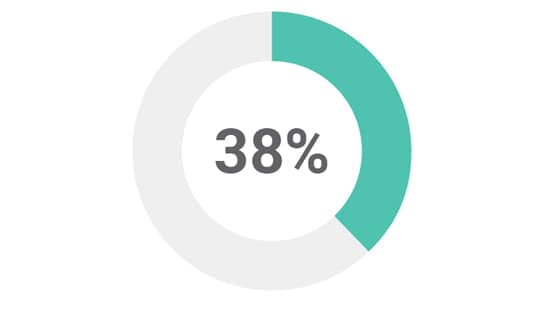38% Donut Chart